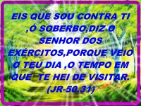 /album/galeria-de-fotos/a2185928-157491-1440-jpg/