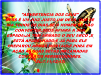 /album/galeria-de-fotos/adriel-png/